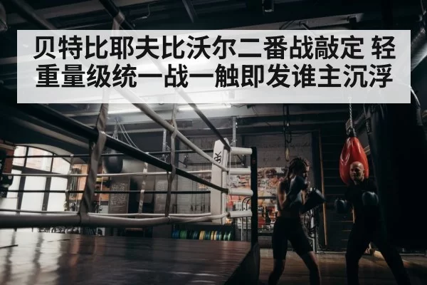 boxer training