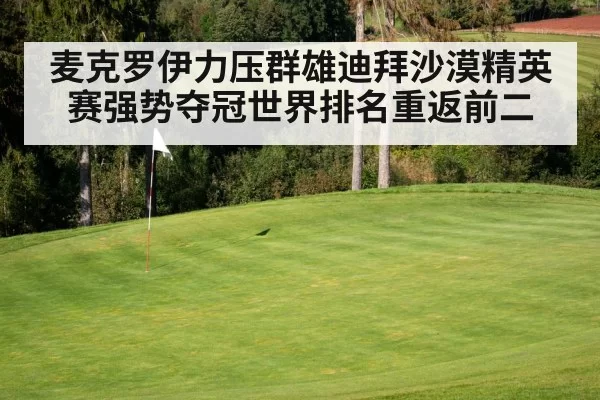麦克罗伊力压群雄迪拜沙漠精英赛强势夺冠世界排名重返前二